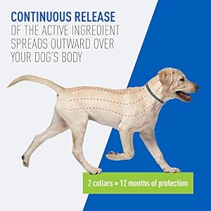 Adams Flea & Tick Collar for Dogs & Puppies | 2 Pack | 12 Month Protection | Adjustable One Size | Kills Fleas, Ticks & Repels Mosquitoes | Excluding California Adams Flea & Tick Collar for Dogs & Puppies | 2 Pack | 12 Month Protection | Adjustable One Size | Kills Fleas, Ticks & Repels Mosquitoes | Excluding California