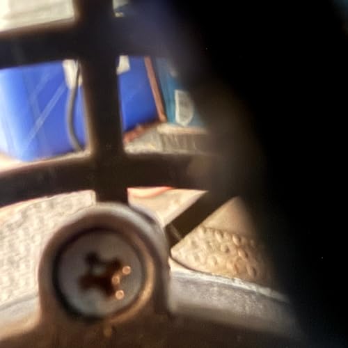 Dumpster Fire Extravaganza