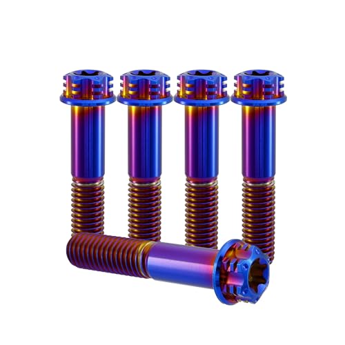 RISON Titanium Bolts M8*1.25 * 49 Torx Titanium Bolts for Motorcycles Hex Head Dual Drive Burnt Blue Titanium Flange Bolt Pack of 5