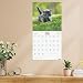 Imagen de Finocam Calendario Pared 30x30 Escribir 2027 Imágenes Gatitos · Español