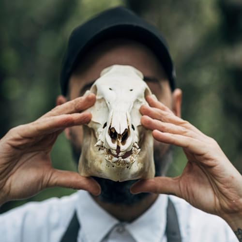 Gastro SER | cover art