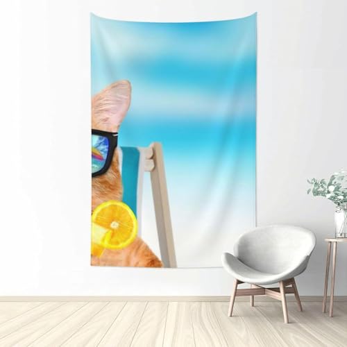 Aj wiz킢L ^yXg[ t@ubNǏ v[g pi z[  |X^[