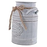 Vase à fleurs en métal rustique : vase pichet français vintage pot de fleurs en fer jardinière de fleurs de campagne vase pichet de ferme bidon de lait galvanisé avec poignée, vase à fleurs décoratif en métal, vase pichet à lait