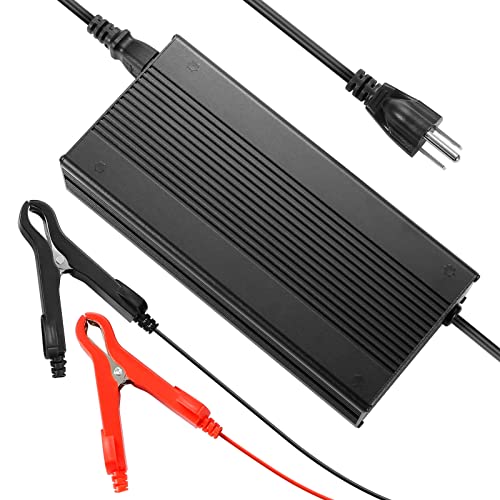 LOSSIGY 24V 10A Lifepo4 Battery Charger, Intelligent Lithium Battery Charger, Trickle Charger, 0V Starting Charger, Suitable for All Batteries and with BMS Activation Function.