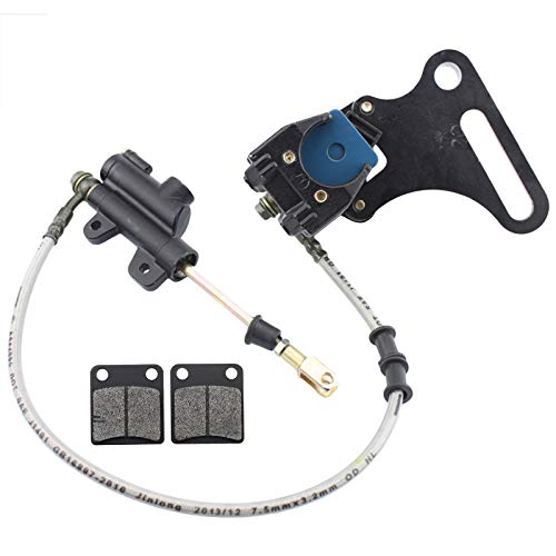 Amazon.co.uk Most Wished For Items that customers have added to Wish