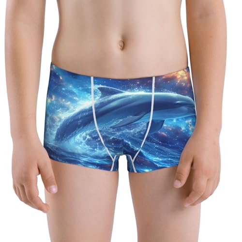 Boys' Cotton Boxer Brief Soft Underwear-Beautiful Ocean Dolphin