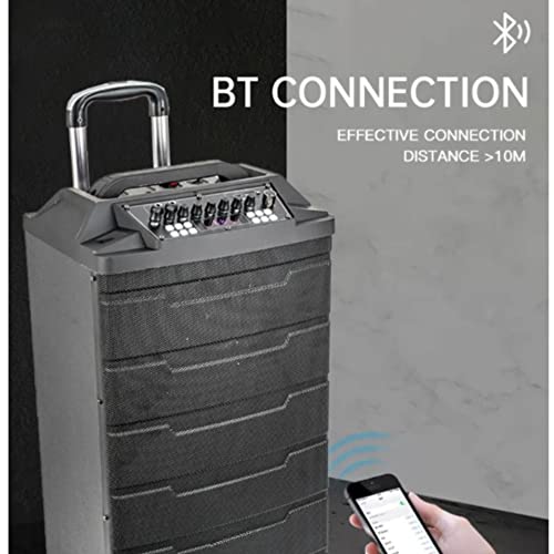 Image of Sonic 12 inch Bluetooth Trolley Speaker with USB, MMC FM Radio, 2 Wireless Mics for Karaoke and Functions with Recording Option,Echo Control for speeches