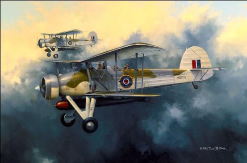 Swordfish, by David Poole-350 Limited Edition Giclees on Canvas (unstretched)