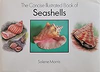 The Concise Illustrated Book of Seashells 0831716762 Book Cover