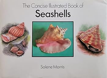Hardcover Concise Illustrated Book of Seashells Book