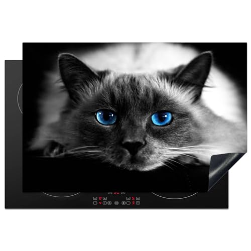 KitchenYeah© Protege Plaque Tapis Pour Induction 76x51 cm Deco Cuisine Protection Vitrocéramique Pour Cuisiniere Chat - Yeux - Gris - Bleu