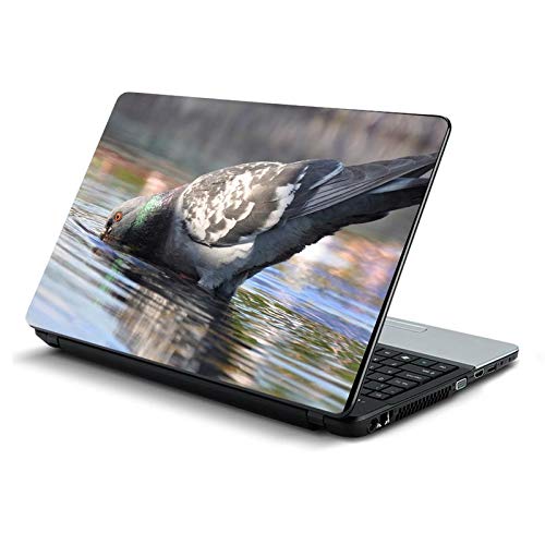 Amazon.in: Buy ClubSquad Design Laptop Skin Laptop Sticker Laptop Skin ...