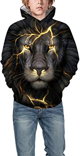 Chaos World Boys' Hoodie Realistic 3D Print Graphic Hooded Sweatshirts Galaxy Animal Pattern(L,Lightning Lion) #TOP3
