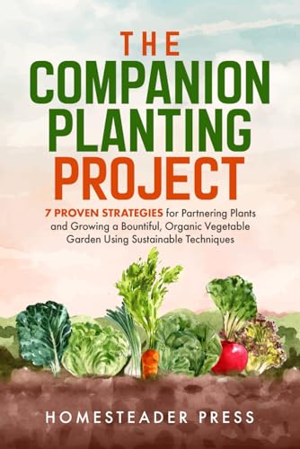 Companion Planting 7 Proven Strategies