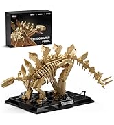 Nifeliz Stegosaurus Fossils Model Set, Dinosaur Skeleton Building Set with Display Base for Adult...