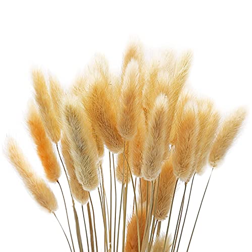 decoração de mesa All Natural Rabbit Tail Grass, 100 Pieces 55-60 cm Bunny Rabbit Tail Flores secas