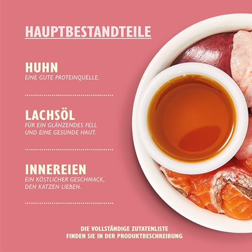 Lily’s Kitchen Vollwertnahrung Nass Katzenfutter für junge Katzen 19 Schalen (19 x 85g) Geflügel