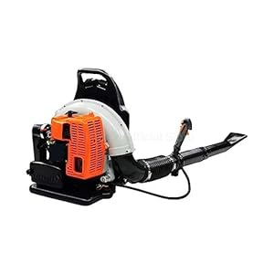 Edede EB650 Rucksack Laubsauger