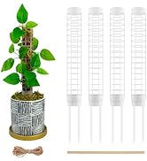 Amazon.com : HYYZ Moss Pole 17.4 inch, 2 Pack Moss Pole Monstera