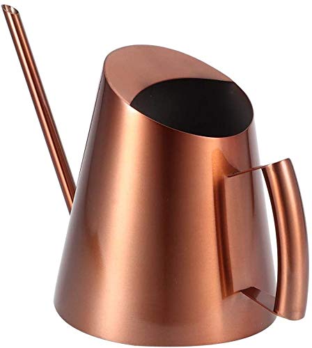 Ejoyous Annaffiatoio In Acciaio Inox 1000ml: Beccuccio Lungo, Manico Ergonomico, Per Piante Da Interno Ed Esterno - 2