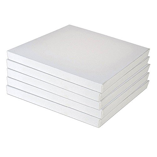 Juego de 5 marcos de paneles de lienzo en blanco para que los estudiantes artistas practiquen