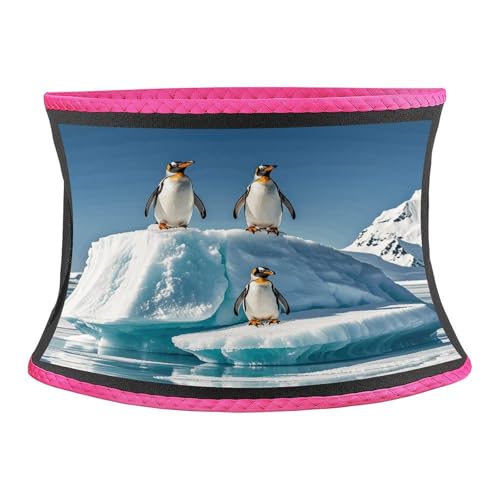 Faja Reductora Unisex Estampado Pingüinos en Iceberg