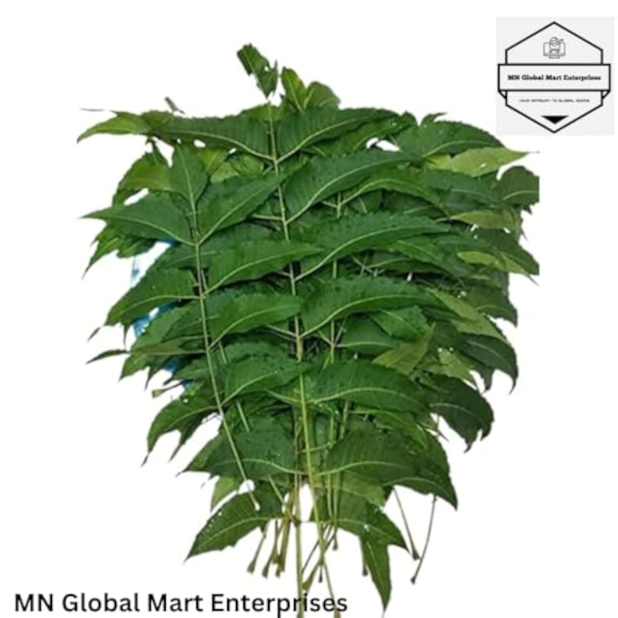 Pure Natural Dry Neem Leaves, Organic Herbal Supplement