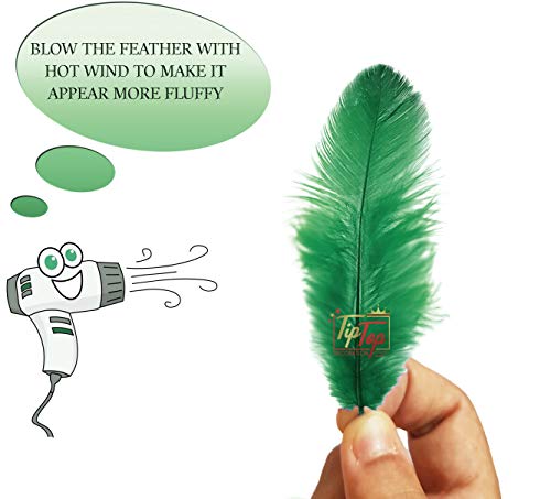 Image of Natural Dyed Feathers 10 cm (80 pieces) (Dark Green)