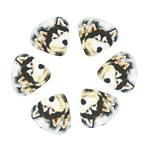 Médiators de guitare Pack de 12 médiators Husky sibérien pour guitare électrique Guitare acoustique Diverses guitares - Les Beatles, Paul McCartney, John Lennon, RIngo Starr, George Harrison Médiators de guitare Pack de 12 médiators Husky sibérien pour guitare électrique Guitare acoustique Diverses guitares