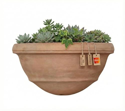 Teramico Blumentopf Pflanzgefäß für die Wand Vaso a Muro Terracotta FROSTFEST -QUALITÄTSWARE- -Italienisches Terracotta- Ideal für den Außenbereich für Garten, Balkon und Terrasse (31cm)