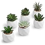 MyGift Mini Assorted Green Faux Succulent, Indoor Fake Plants in Geometric...