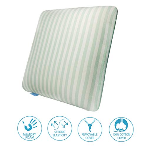 ISSAGE INTELLIGENT Almohada Cojín para Sofa con Memory Foam, Almohada Ergonómica 100% algodón y Lavable