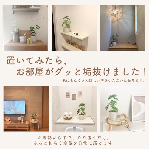 Rilmy（リルミー） フェイクグリーン 卓上 観葉植物 モンステラ 造花 人工観葉植物 インテリア オシャレ インテリアグリーン ミニ フェイク 高さ36㎝ 鉢カバー付き ココファイバー付 3点セット (モンステラ) [3]
