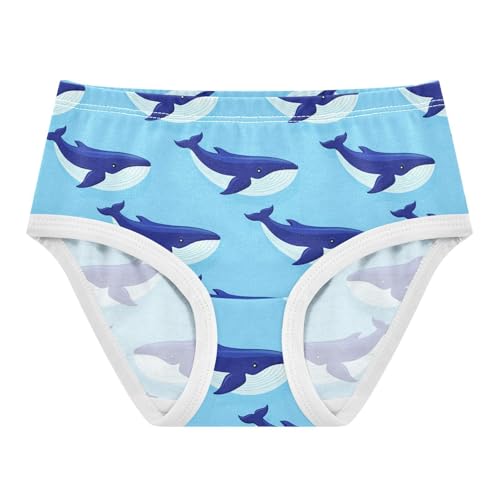 Ocean Whale Blue Toddler Girls's Underwear 2T 2303166