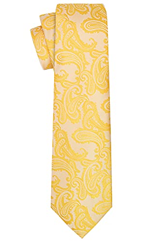 Image of KissTies Mens Paisley Tie And Pocket Square Necktie Sets