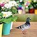HOMSFOU Simulation Pigeon Artificial Foam Pigeon Model Lifelike Pigeon Fake Pigeon Artificial Birds Ornaments for Outdoor Pathway Lawn Garden Decorations