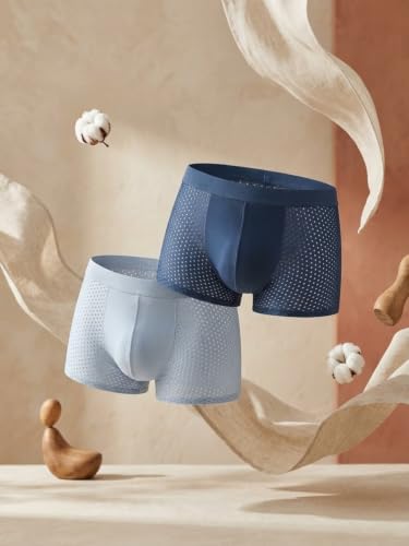 Image of Men Breathable Pouch Underwear Packs Mesh Boxer Briefs | Air Ventilation Boxer Brief | Pack of 1