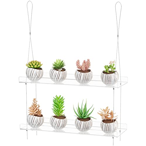 2-Tier Acrylic Hanging Plant Shelves