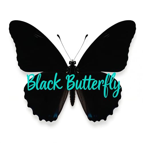black butterfly