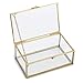 Hipiwe Vintage Glass Keepsake Box, Rectangle Jewelry Display Organize Vanity Lidded Box Home Decor Accent Decorative Box for Storage Trinket Rings Bracelet