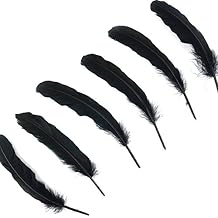 ZUCKER Goose Favion Feathers - Black - Iridescent