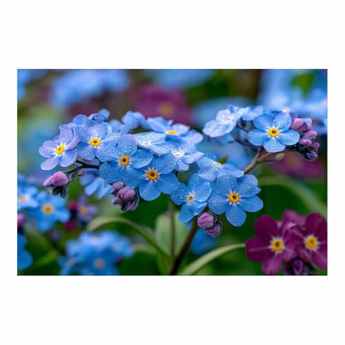 Tableau fleurs magnifiques toile moderne multicolore 40x60cm peinture murale deco chambre