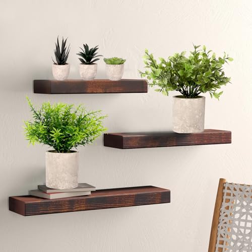 Fake Plants Set Artificial Plants Indoor Potted Plants for Home Shelf Decor Office Room Coffee Desk (Green 5p) - Cosy Home Interiors Fake Plants Set Artificial Plants Indoor Potted Plants for Home Shelf Decor Office Room Coffee Desk (Green 5p) - Image 6