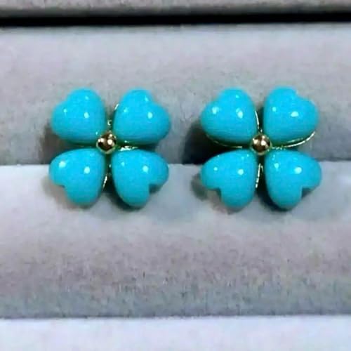 ^[RCỸsAXnCAWG[ t_Xn[g u[ S[h