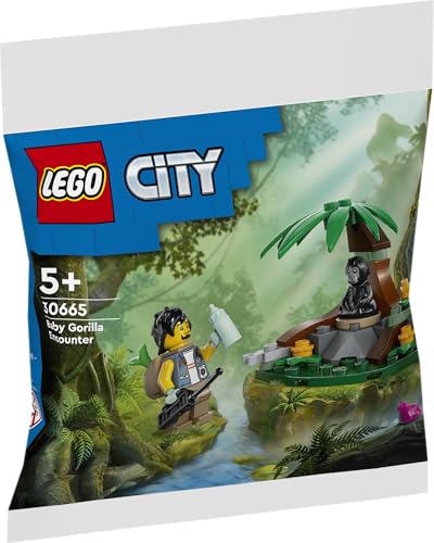LEGO LEG30665 - vue 5