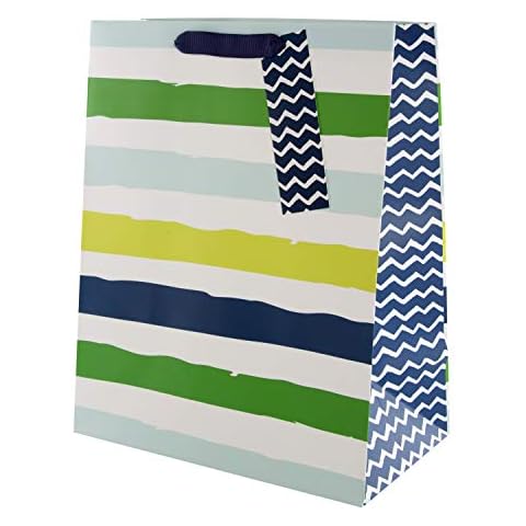 Bolsa de regalo Hallmark a rayas azules y verdes Cover