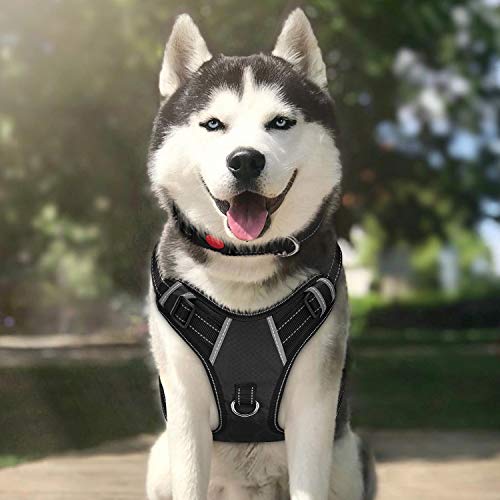 TIANYAO Dog Harness No Pull Reflective Oxford Material Soft Pet Vest Adjustable