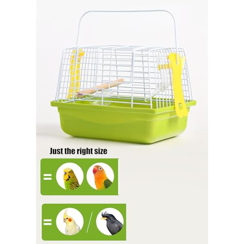 Cage en fil de fer pour perroquet et conure avec plateau amovible - 5