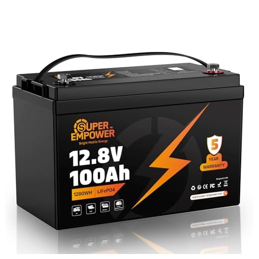 12V 100Ah LiFePO4 Lithium Battery- BCI Group 31, Deep Cycle RV LiFePO4 Battery with Low-Temp Protection, 100A BMS, 1280Wh, Max.15000 Cycles, 10-Year Lifespan for RV, Solar, Trolling Motor, Marine