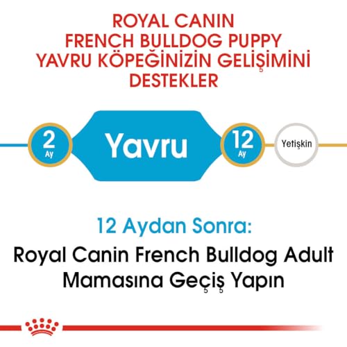Royal Canin French Bulldog 30 Junior 3 kg, 1er Pack (1 x 3 kg)